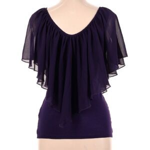 Venus Purple Sheer Arm Scoop Neck Top